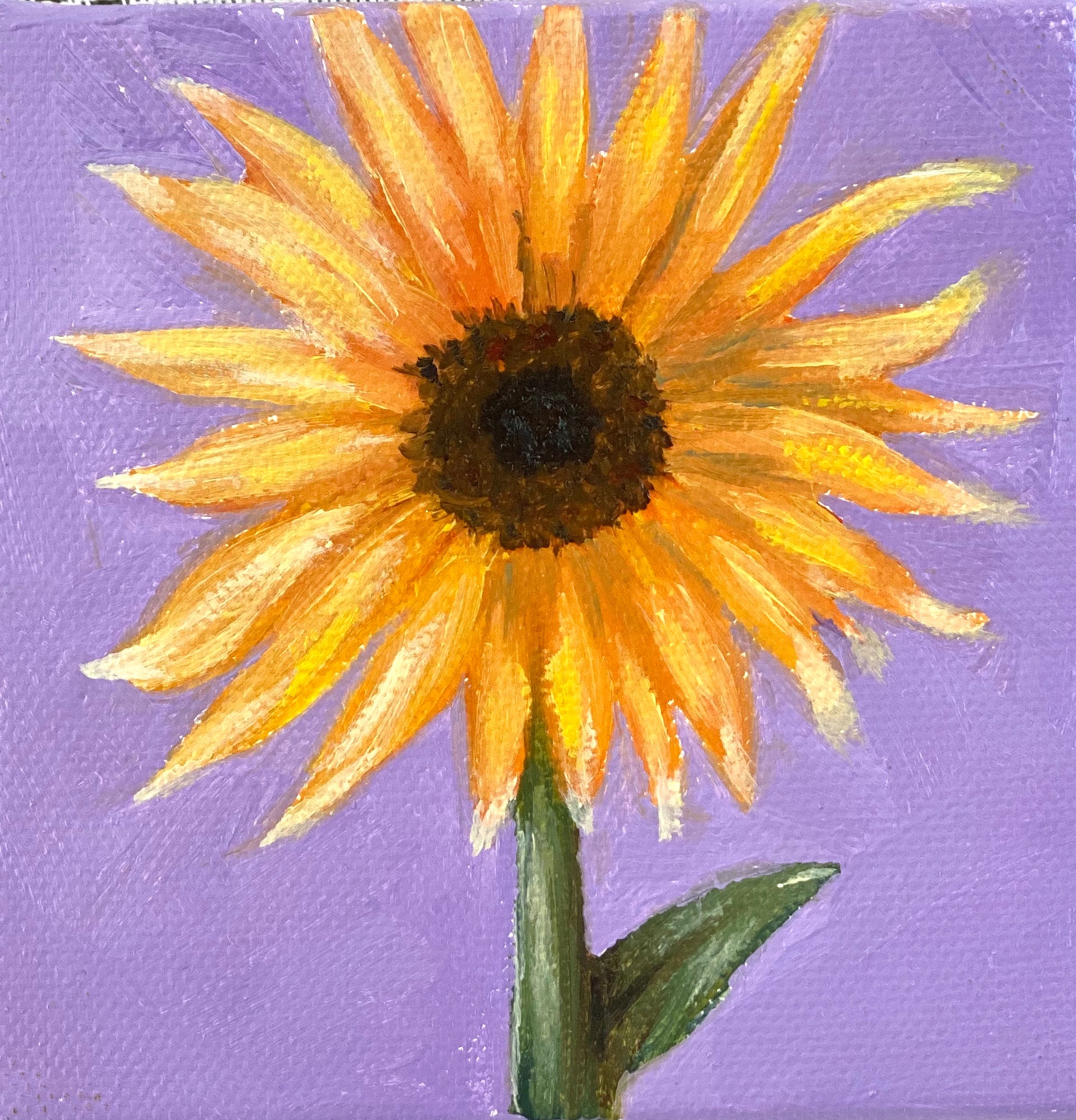 Sunflower Miniature