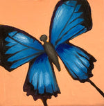 Load image into Gallery viewer, Butterfly Miniature
