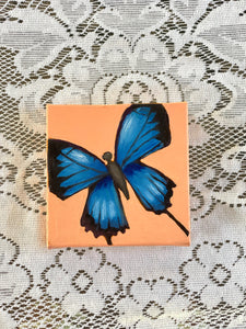 Butterfly Miniature