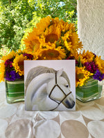 Load image into Gallery viewer, White Horse Portrait Wall Square
