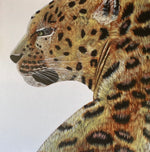 Load image into Gallery viewer, Leopard Portrait Wall Square
