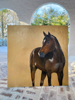 Load image into Gallery viewer, Mocha Horse Portrait
