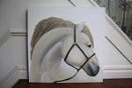 Load image into Gallery viewer, White Horse Portrait
