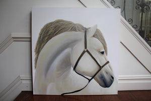 White Horse Portrait