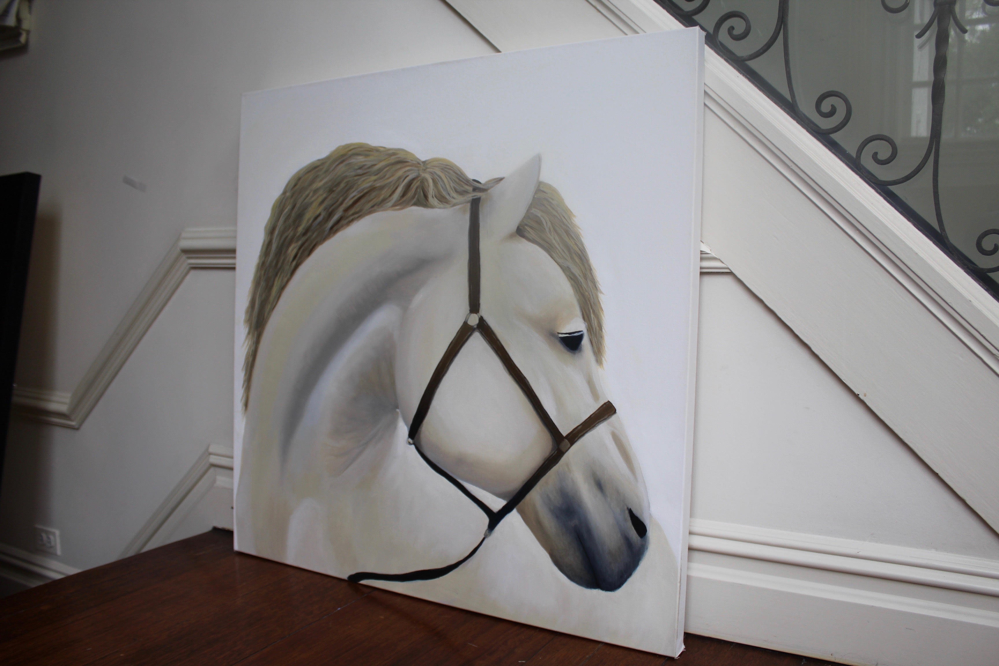 White Horse Portrait