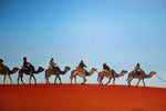 Load image into Gallery viewer, Leading Camels Through the Desert
