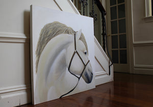 White Horse Portrait