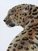 Load image into Gallery viewer, Leopard Portrait
