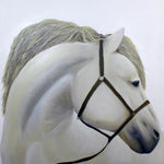 Load image into Gallery viewer, White Horse Portrait
