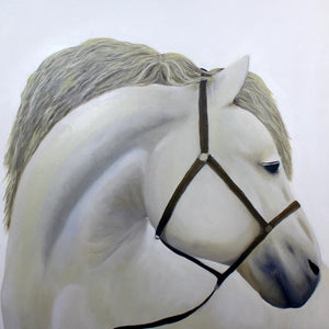 White Horse Portrait