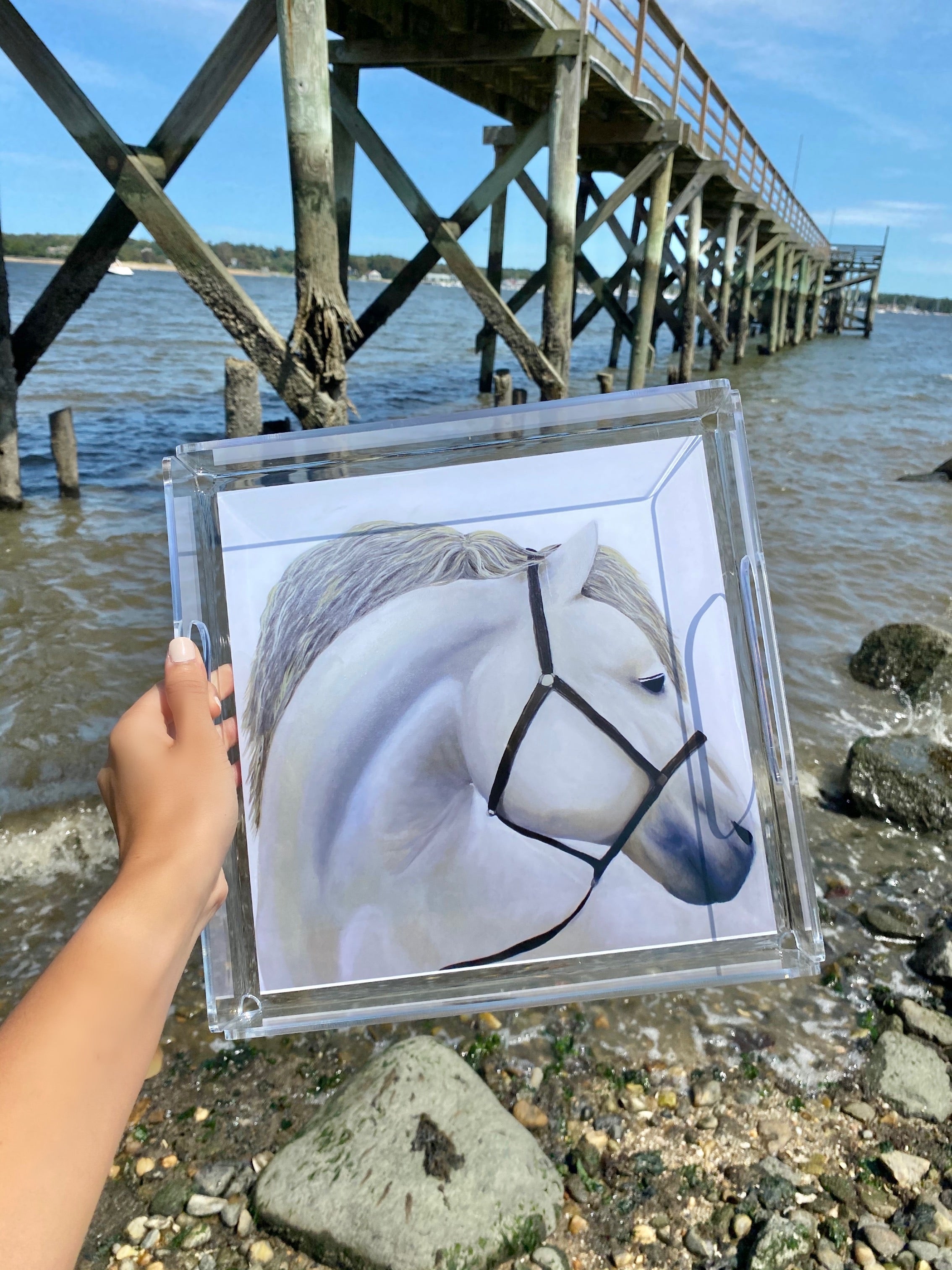 White Horse Portrait Acrylic Tray